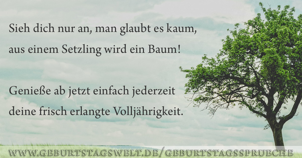 L Spruche Zum 18 Geburtstag Gluckwunsche Gedichte Zur Volljahrigkeit